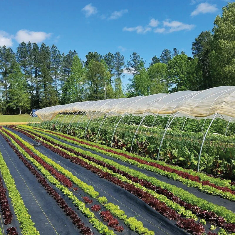 Sunbelt Black Ground Cover – 12' X 300' 3 Sunbelt Black Ground Cover – 12' X 300'