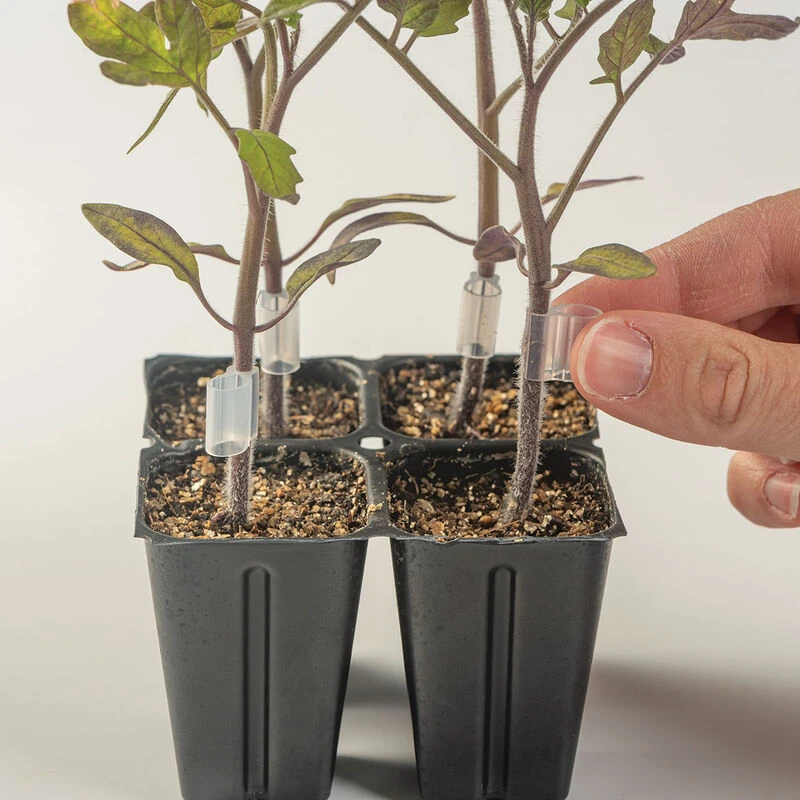 Top-Grafting Clips With Channel – 2.2 Mm 4 Top-Grafting Clips With Channel – 2.2 Mm - Image 2