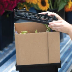 Florida Lid -Johnnyseeds Sales Shop 07925 04 floridalid