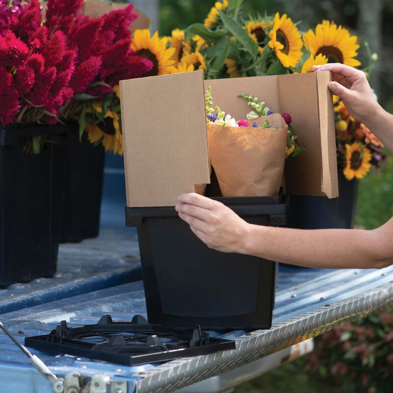 Florida Collar – 9" 3 Florida Collar – 9"