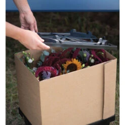 Valencia Lid 9 Valencia Lid -Johnnyseeds Sales Shop 07931 04 valencialid