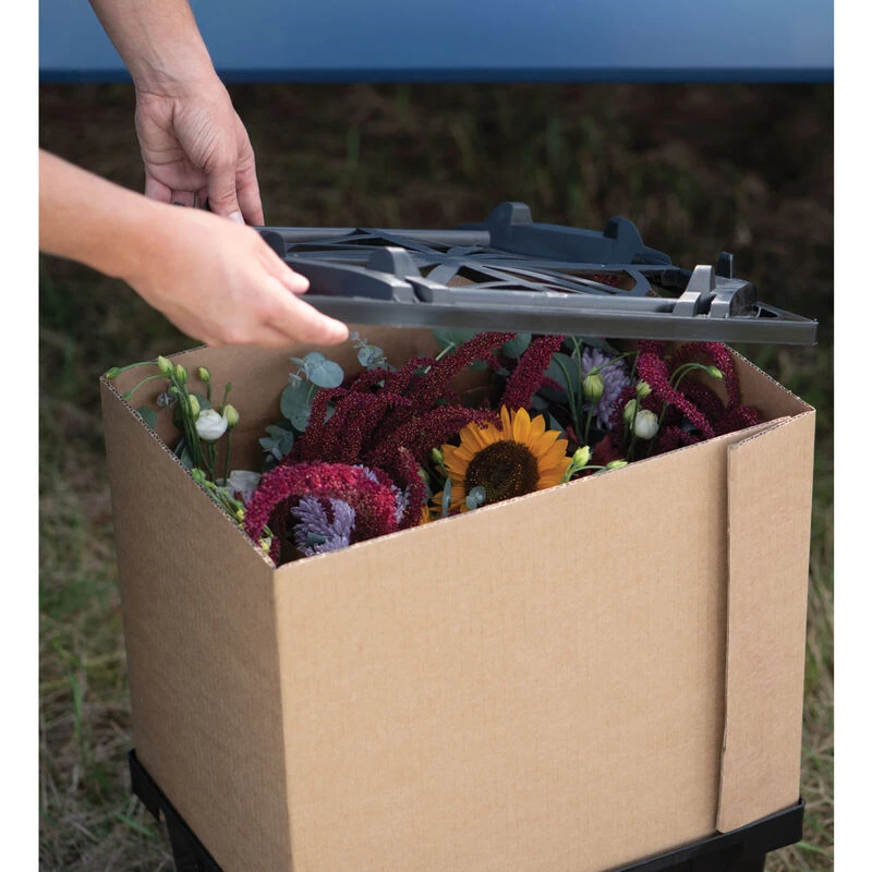 Valencia Lid 6 Valencia Lid - Image 4