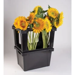 Valencia Topframe -Johnnyseeds Sales Shop 07934 03 valenciatopframe