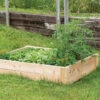 Cedar Raised Garden Bed – 4' X 4' 1 Cedar Raised Garden Bed – 4' X 4' -Johnnyseeds Sales Shop 07977 01 cedar raised bed