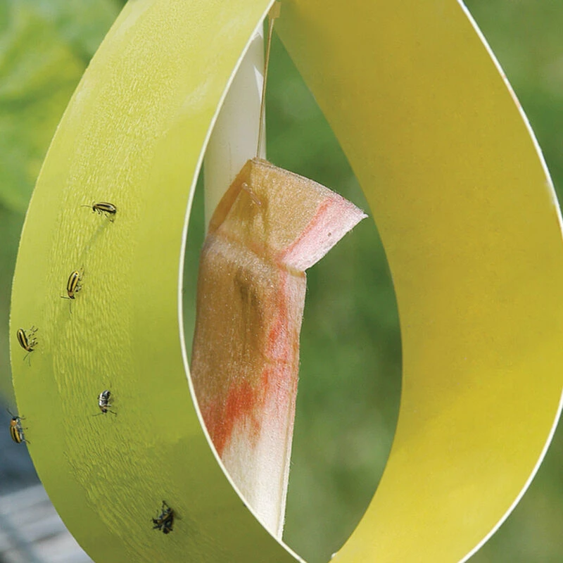 Sticky Yellow Traps – 5 Count 3 Sticky Yellow Traps – 5 Count