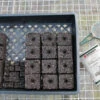Soil Block Propagation Trays – 5 Count -Johnnyseeds Sales Shop 09397 01 sbproptray 1