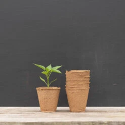 4" Round Fertil Pots – 810 Count