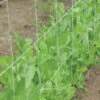 Trellis Plus – 5' X 60'