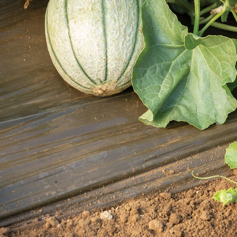 Solar Mulch – 4' X 50' 3 Solar Mulch – 4' X 50'