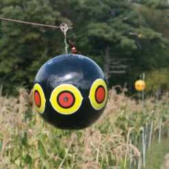 Terror-Eyes Balloons -Johnnyseeds Sales Shop 09783 03 terroreyesbls
