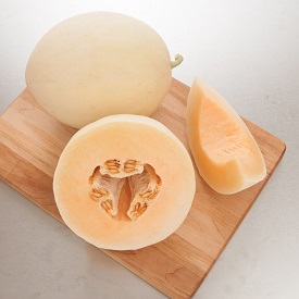 Johnnyseeds Sales Shop 14 Johnnyseeds Sales Shop -Johnnyseeds Sales Shop 20240430 honey orange melon